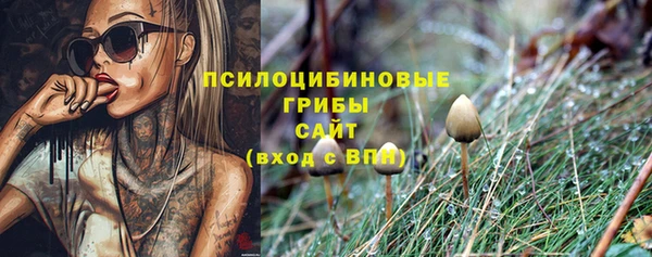 ешки Баксан