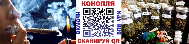 Бошки Шишки тримм  кракен зеркало  Беслан 